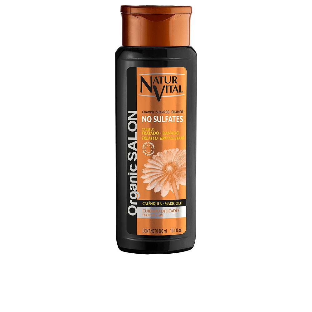 Natur Vital Organic Salon Sulfate Free Shampoo Delicate Care Soft Shine And Moisture