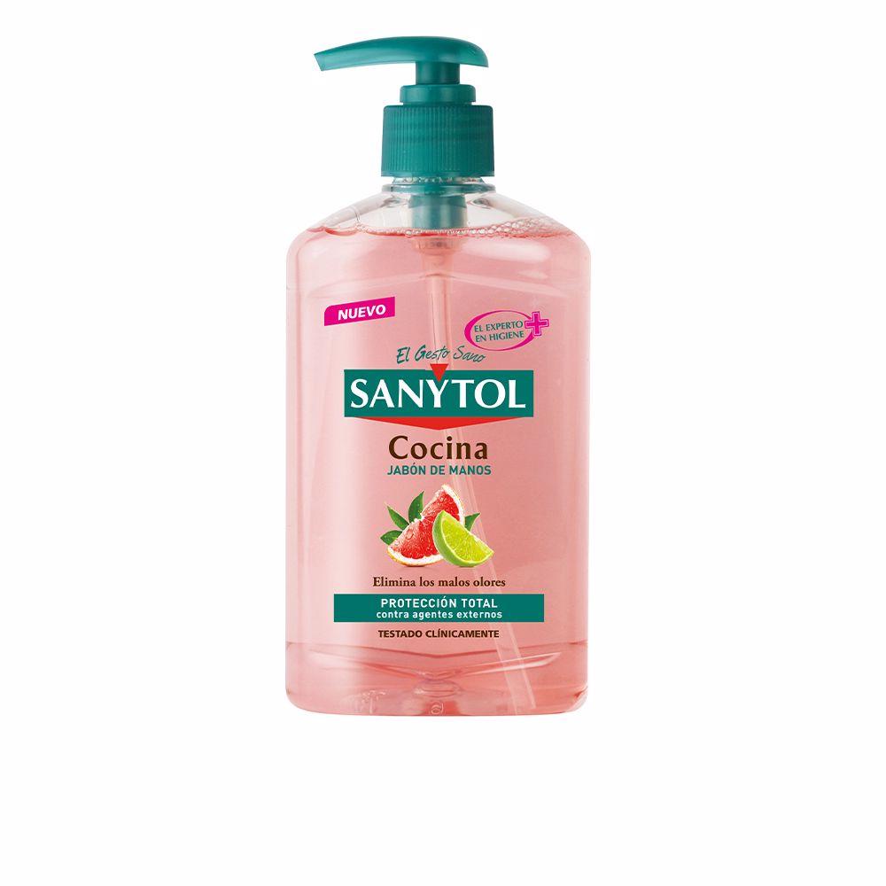 Sanytol Antibacterias Antibacterial Hand Soap For Kitchen Extra Effective Kitchen Hygiene