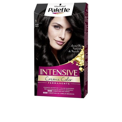 Palette Palette Intensive Permanent Hair Dye Exceptional Gray Coverage