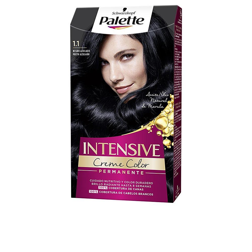 Palette Palette Intensive Permanent Hair Dye Exceptional Gray Coverage
