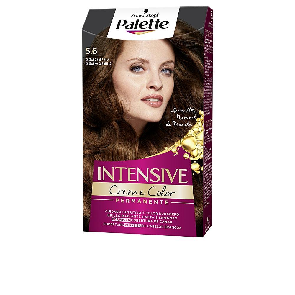 Palette Palette Intensive Permanent Hair Dye Exceptional Gray Coverage