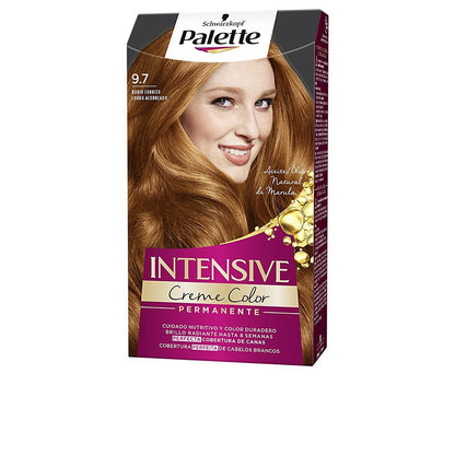 Palette Palette Intensive Permanent Hair Dye Exceptional Gray Coverage