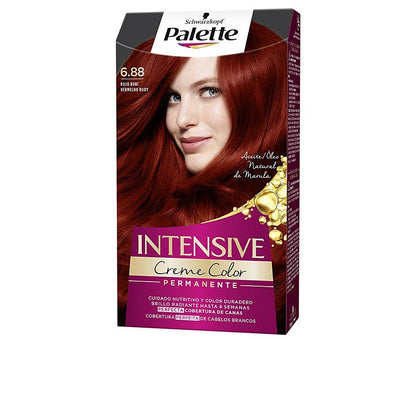 Palette Palette Intensive Permanent Hair Dye Exceptional Gray Coverage