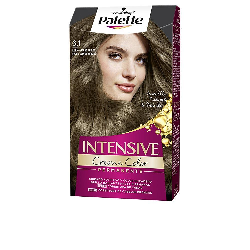 Palette Palette Intensive Permanent Hair Dye Exceptional Gray Coverage