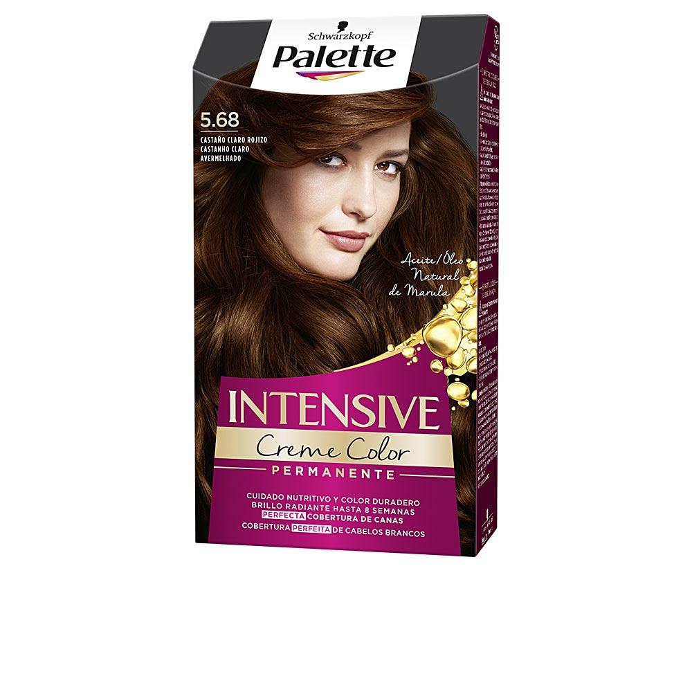Palette Palette Intensive Permanent Hair Dye Exceptional Gray Coverage