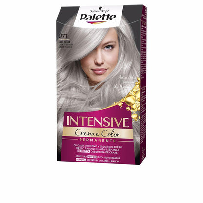 Palette Palette Intensive Permanent Hair Dye Exceptional Gray Coverage