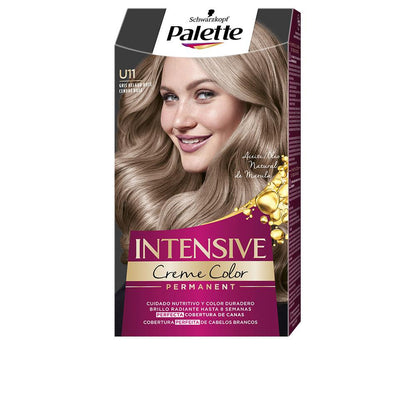 Palette Palette Intensive Permanent Hair Dye Exceptional Gray Coverage