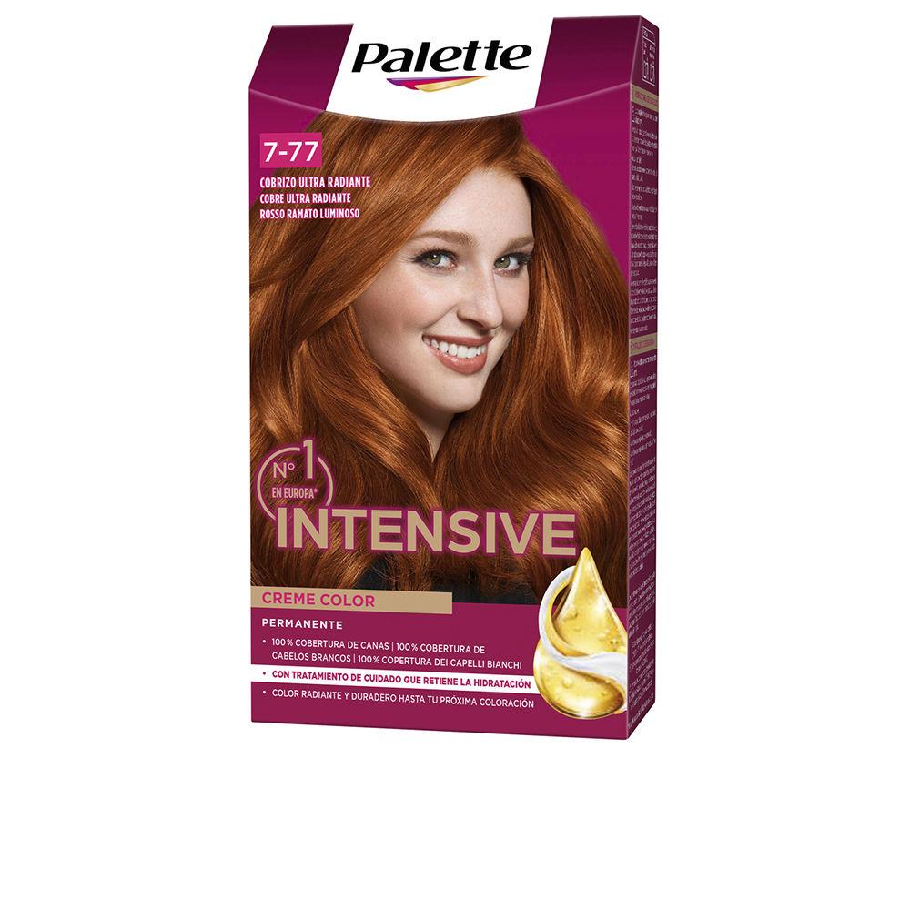Palette Palette Intensive Permanent Hair Dye Exceptional Gray Coverage